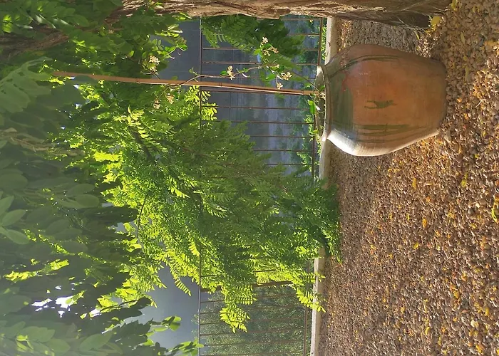 Serrano, La De Mil Suelos * فالنسيا