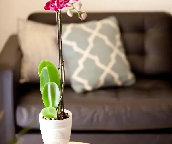 Διαμέρισμα Authentic Charming Apartment/wifi/air Conditioning *