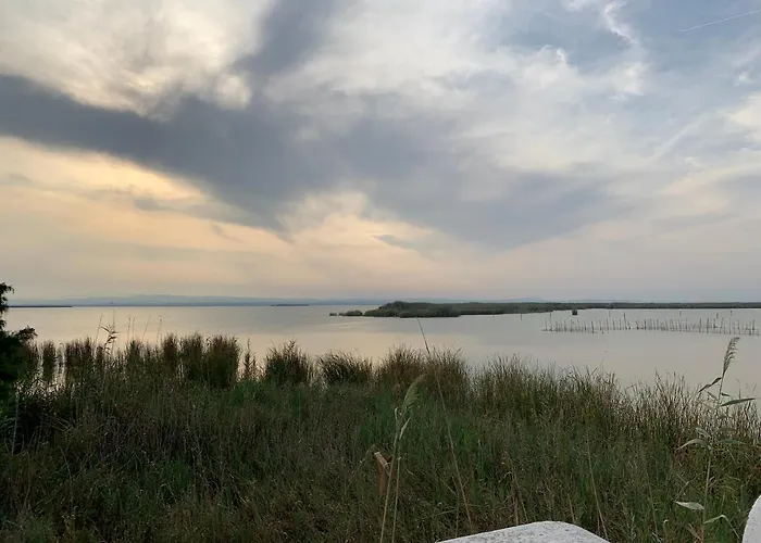 Casa Del Palmar Valencia