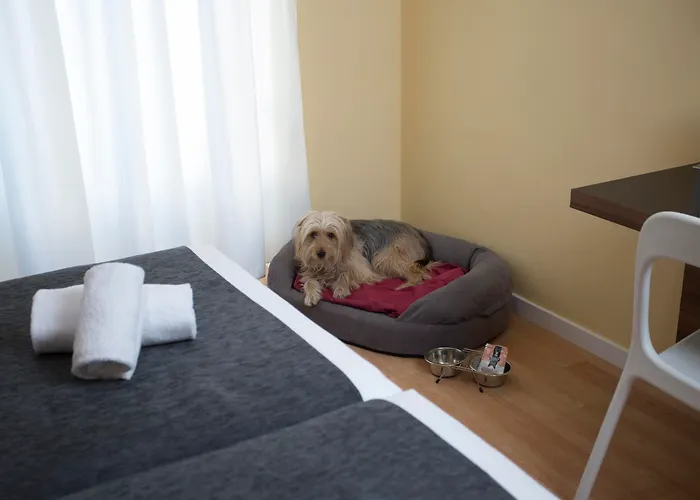 Casual Del Cine Отель Валенсия