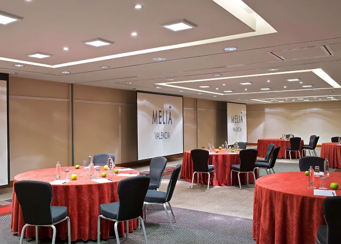 Melia Hotel Valence