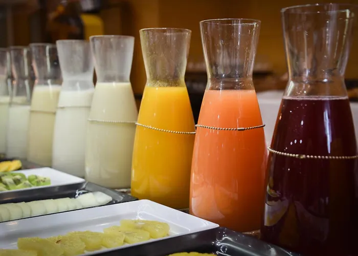 Senator Parque Hotel Valence