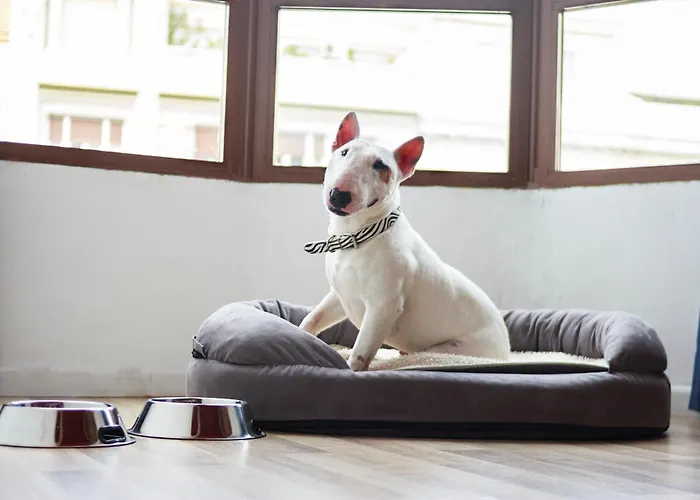 Casual Socarrat - Adults Only מלון 3*