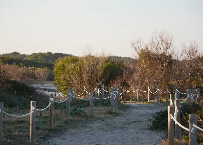 & Co. Saler Boutique فندق