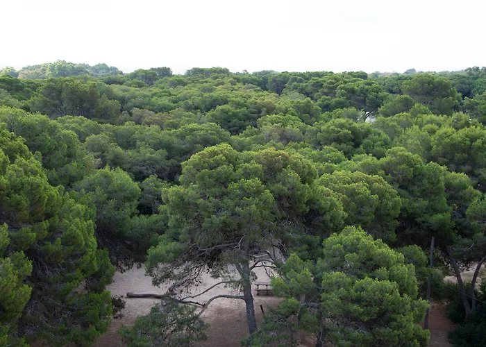 You&co. Saler Boutique Valence