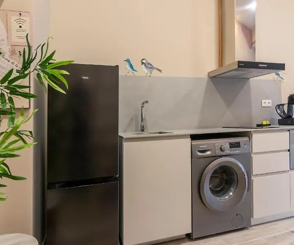 Art Lofts Gardens 아파트 발렌시아