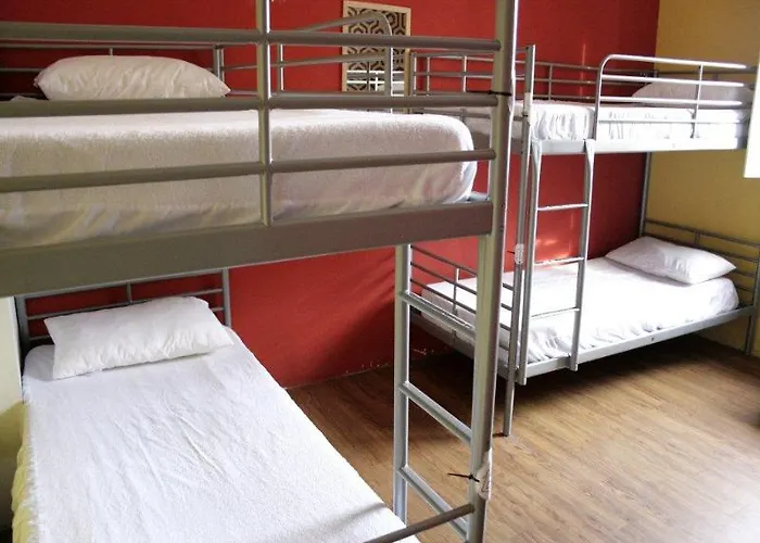 Hostel Feetup Backpackers *