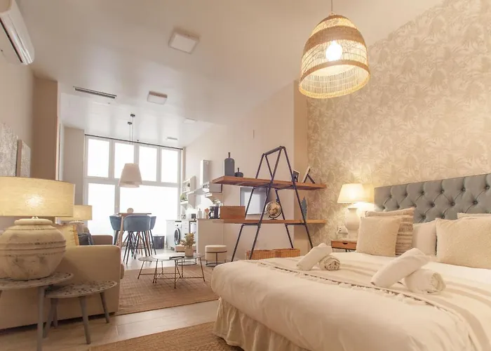 Md Patacona Mid-term *