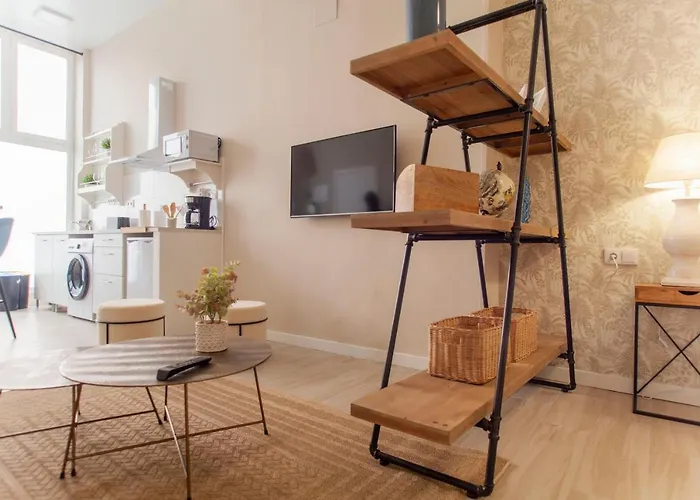 Md Patacona Mid-term