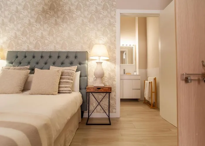 Md Patacona Mid-term *