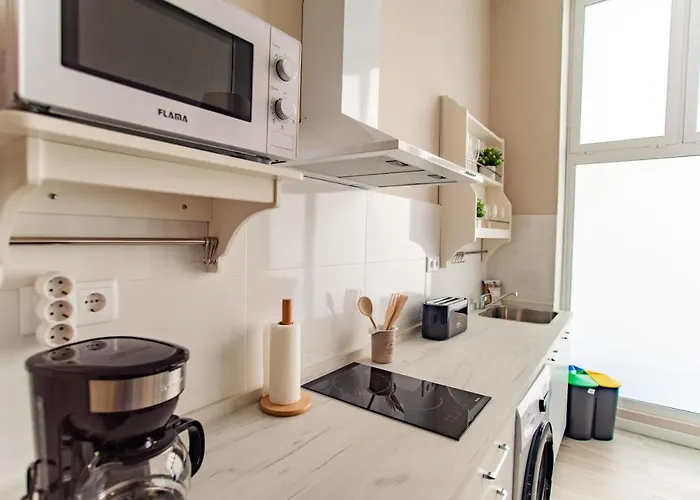 Md Patacona Mid-term