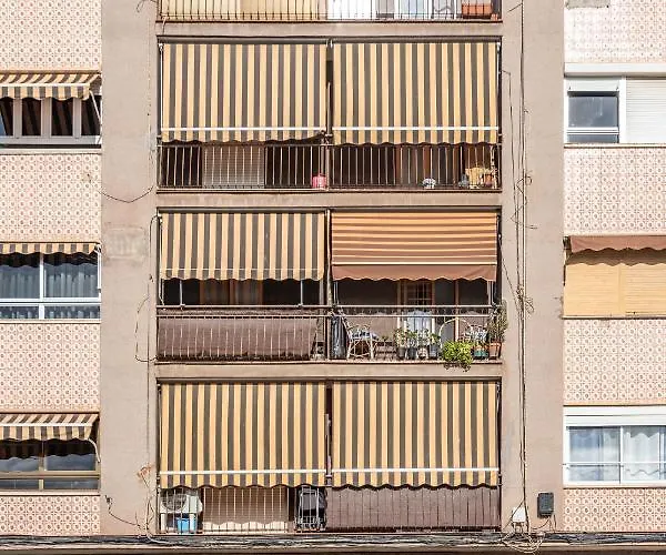 Sunny On Cabanal Beach