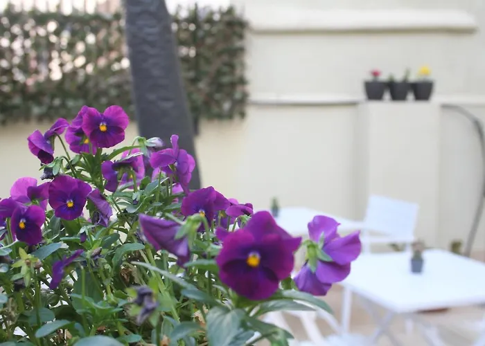 Zalamera فالنسيا