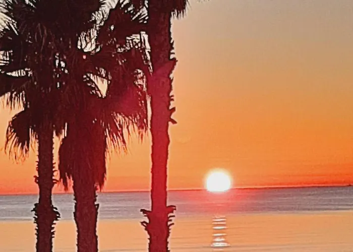 Fivestepstosea - Valencia