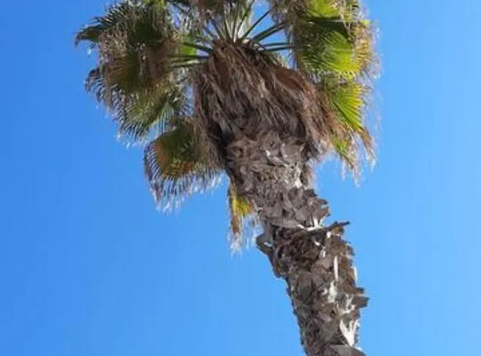 Fivestepstosea - * Valencia