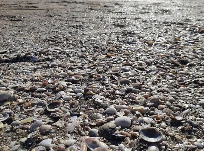 Fivestepstosea - Apartment Valencia