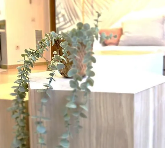 Luxury B40-7 On فالنسيا