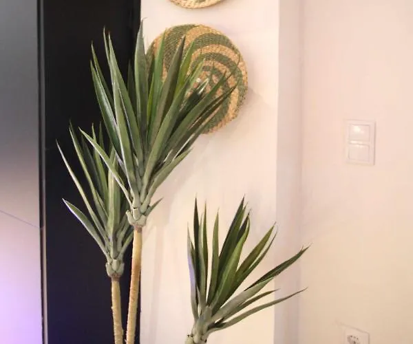 Estudio Baleares N3 Lejlighed