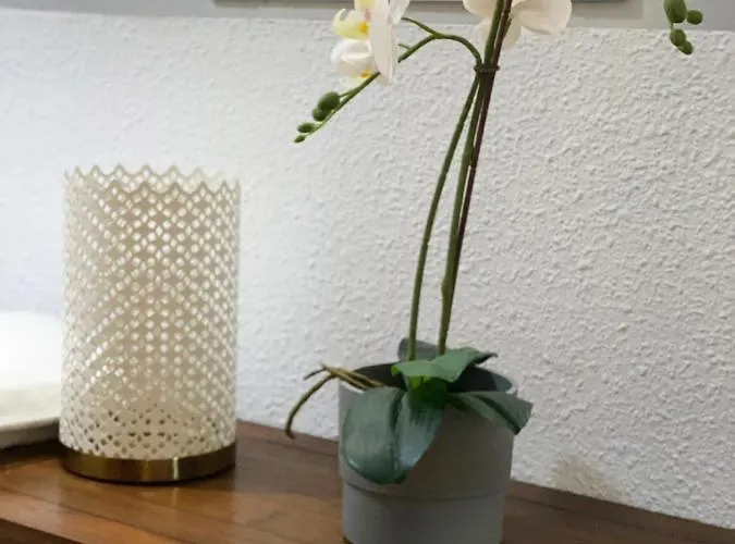 Cerca Al Puerto Shared Πανσιόν *