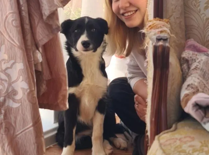 Chateau Angelique Séjour à la campagne *