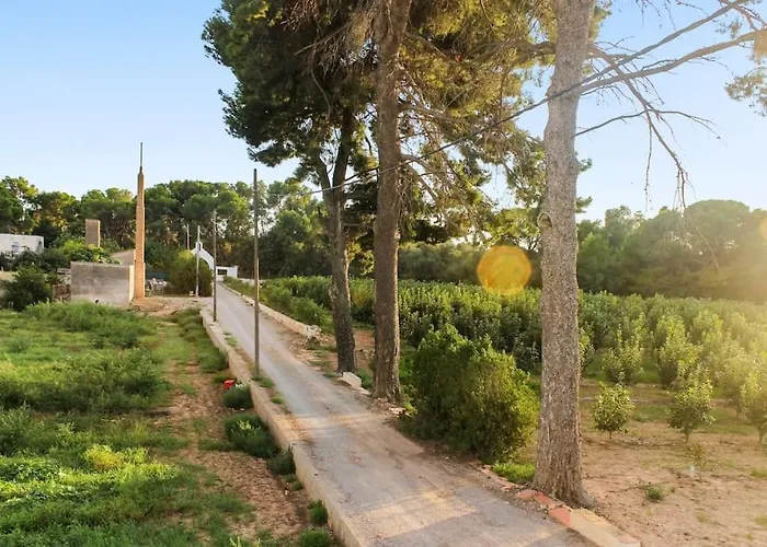 Huerto Valenciano - Sol Y Tranquilidad - Piscina 度假居