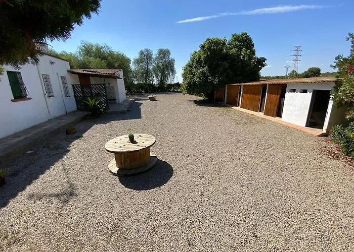 Huerto Valenciano - Sol Y Tranquilidad - Piscina 度假居 瓦伦西亚