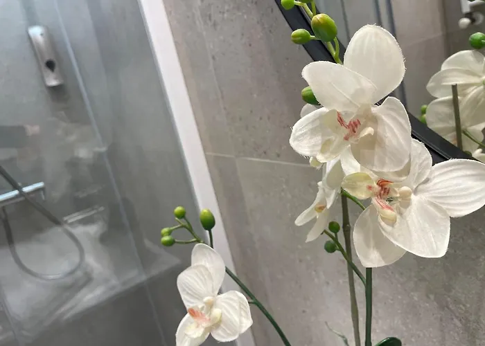 Singularstays Mar44 Lägenhet