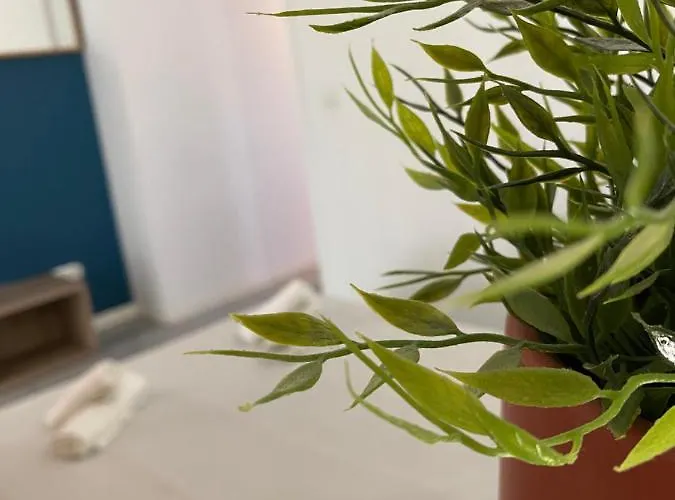 Acogedor 발렌시아