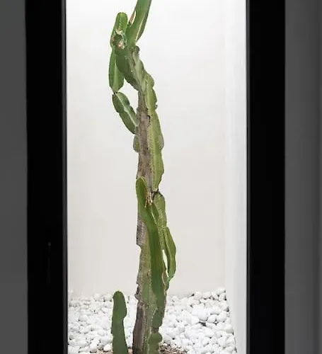 Maison Avec Piscine A