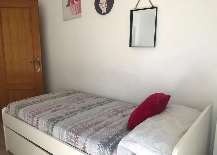 Arts And Sciens Museum/beach Apartment