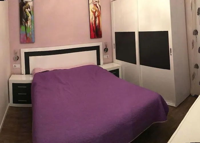 Center Where Falla Starts فالنسيا