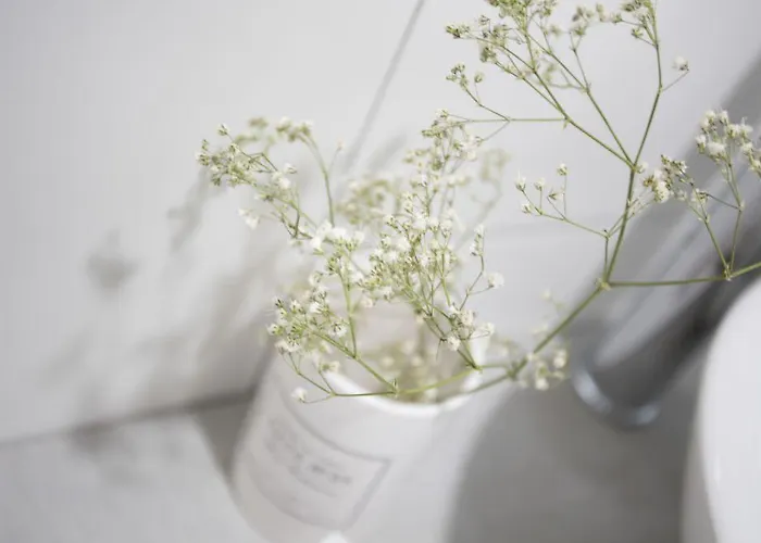 Singularstays Parque * Valence