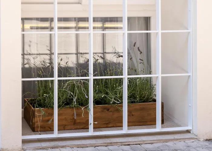 Le Provencal De Coup De Coeur *