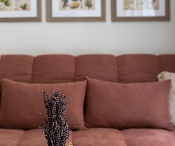 Le Provencal De Coup De Coeur