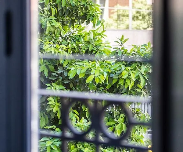 Quality With Homely Decor Valencia