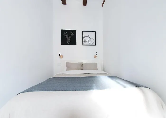 Beautiful In Botanic Βαλένθια