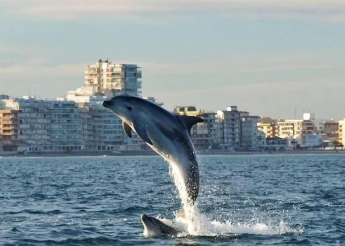 Adosado En La Playa De El Perellonet Con Piscina, Pista Tenis *