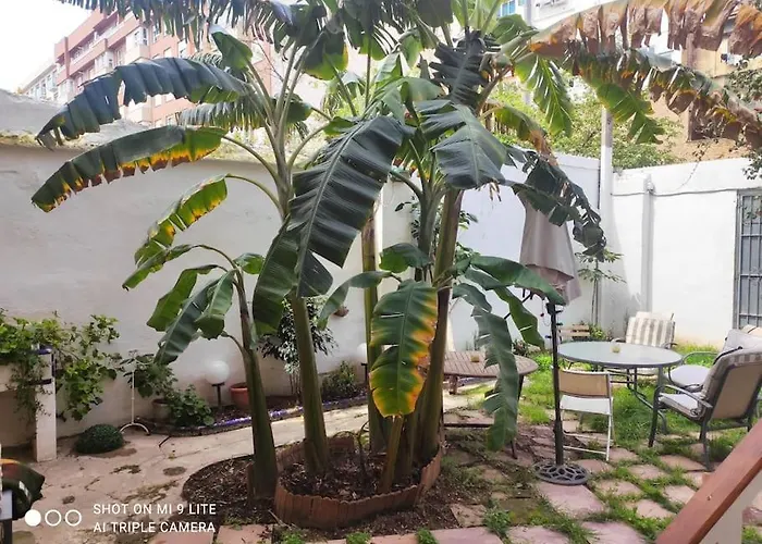 Διαμέρισμα Cozy En Ruzafa 2-3 Personas Con Aire Acondicionado Y Salida Directa A Terraza Βαλένθια