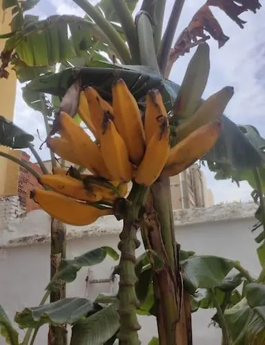 Precioso Con A/a En Ruzafa Con Terracita Privada Y Acceso A Un Jardin, 2-3 Personas Апартаменты *