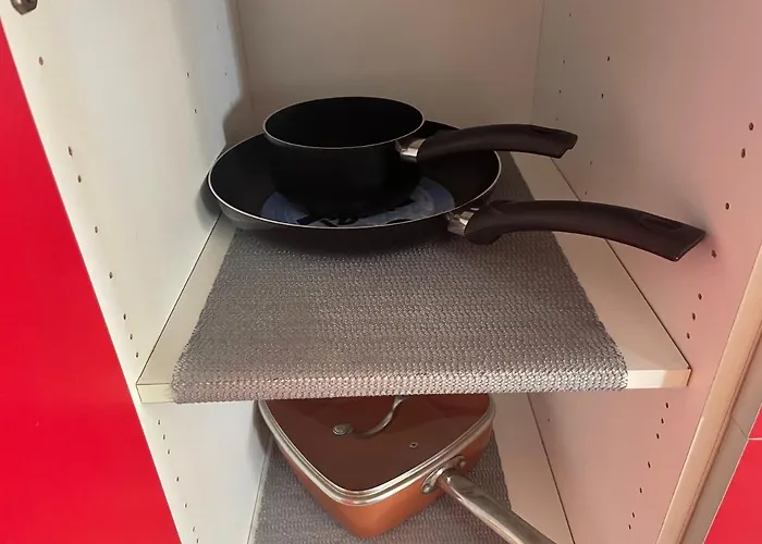 Beautiful Tulip Valenza