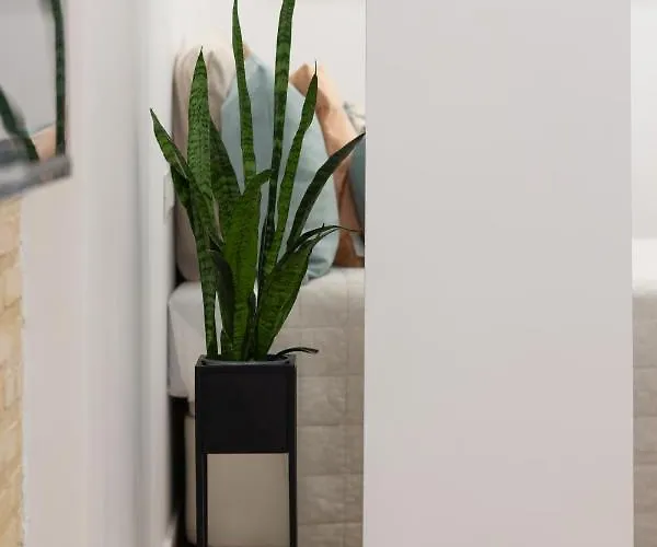 Vlc Host- Fray Pedro Lejlighed *