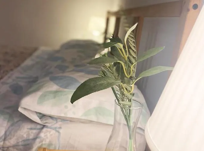 Peres I Valero En Piso Compartido Penzion *