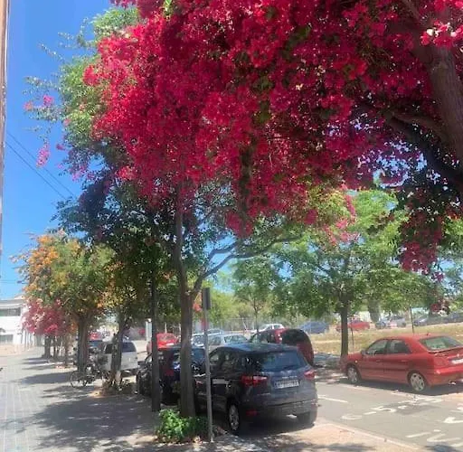 Fantastic Loft With An Exquisite Design Apartment Valencia