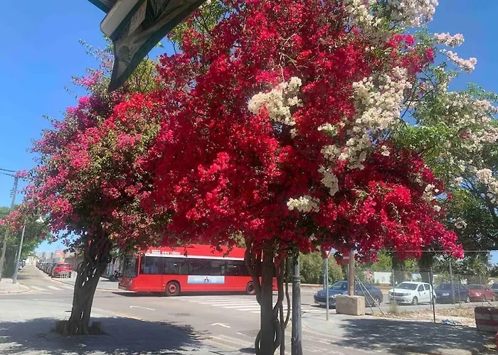 Apartment Fantastic Loft With An Exquisite Design