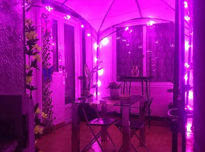 Couette-café Papillon