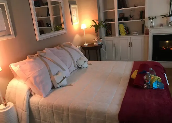 Papillon * 발렌시아