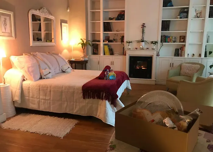 Papillon 발렌시아