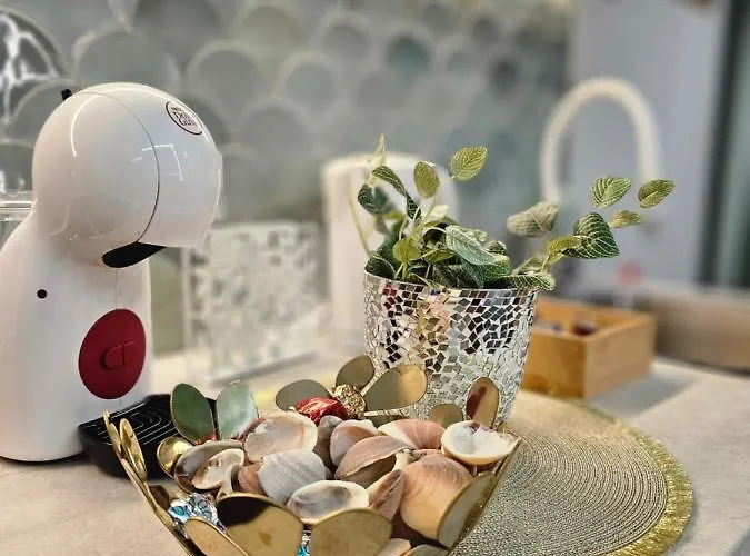 Lounge Garden Sea Mint Fresh * 발렌시아