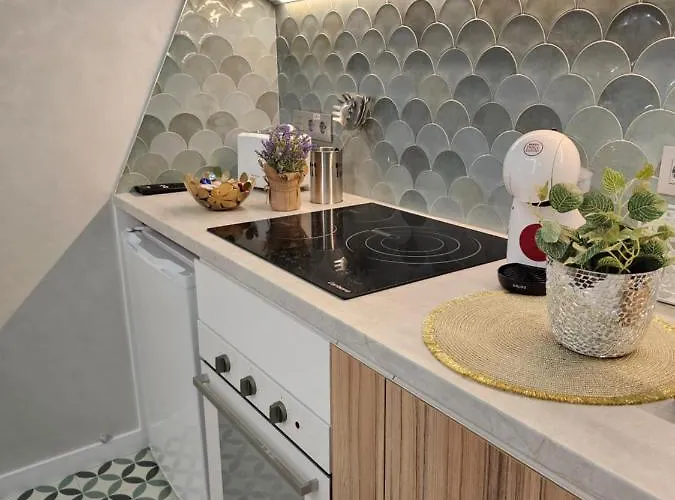 Lounge Garden Sea Mint Fresh 발렌시아