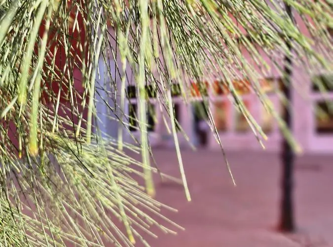 Lounge Garden Sea Mint Fresh Lejlighed *